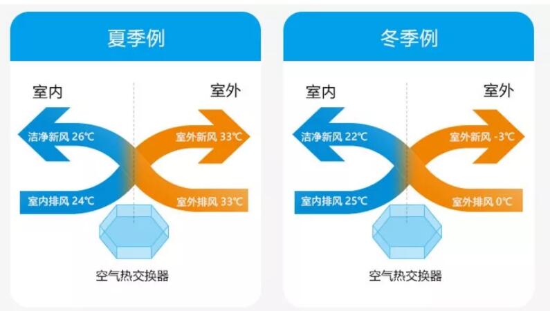 全方位攻略：打造热门萌宠派对AI文案，解答所有用户疑问与需求