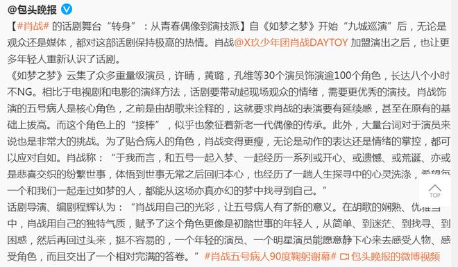 探索青春偶像：我的偶像Lisa500字作文深度解析与启示