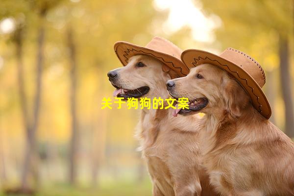 狗狗搞笑文案大     ：全面攻略，解决所有宠物犬幽默表达需求