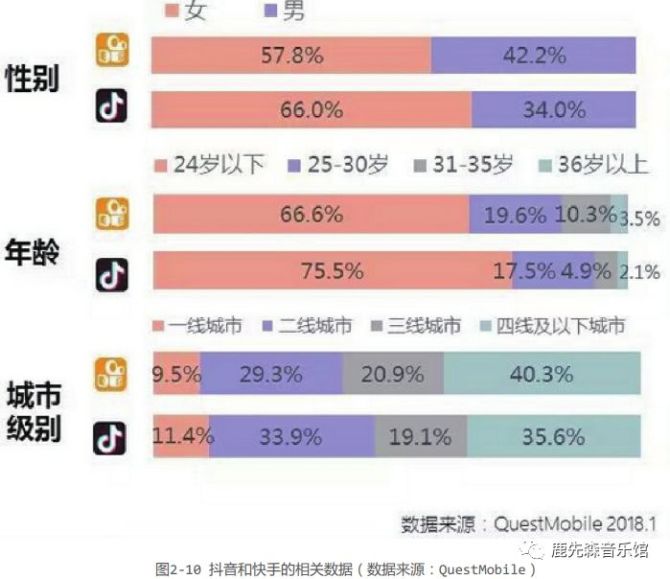 抖音AI脸型分析报告：个性化特征解读与美丽建议