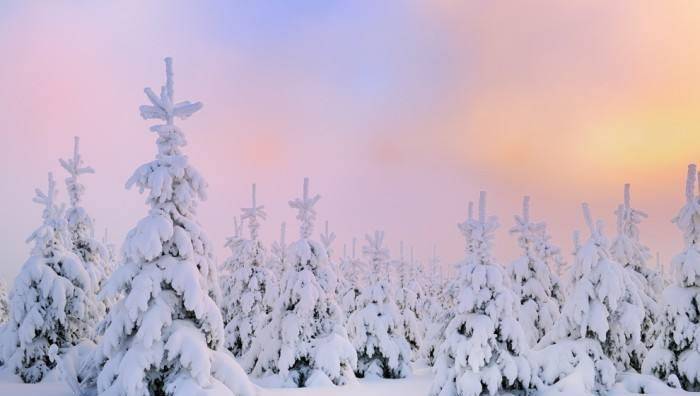 AI生成多样化雪景描绘句子及创作技巧：全面覆雪景描写相关搜索需求