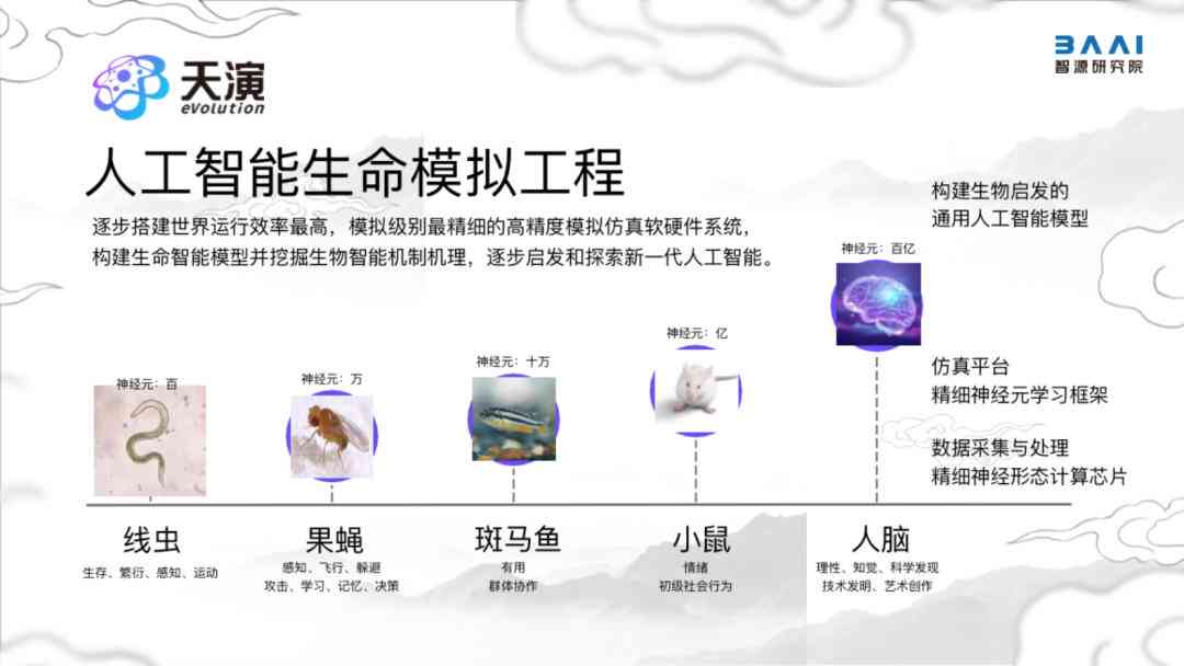 AI创作软件：是否属于高复杂度的大型操作平台？