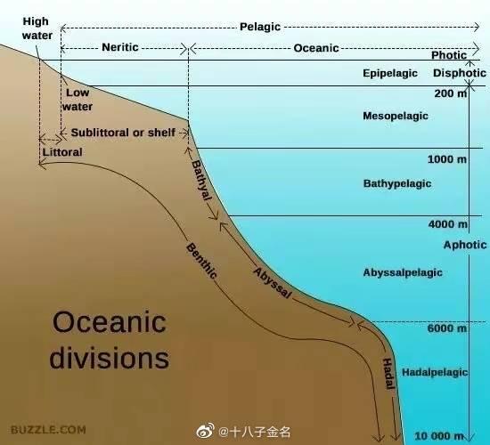 深度解析：海水知识问答，全方位揭秘海洋奥秘与实用信息