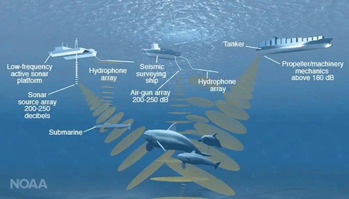 深度解析：海水知识问答，全方位揭秘海洋奥秘与实用信息