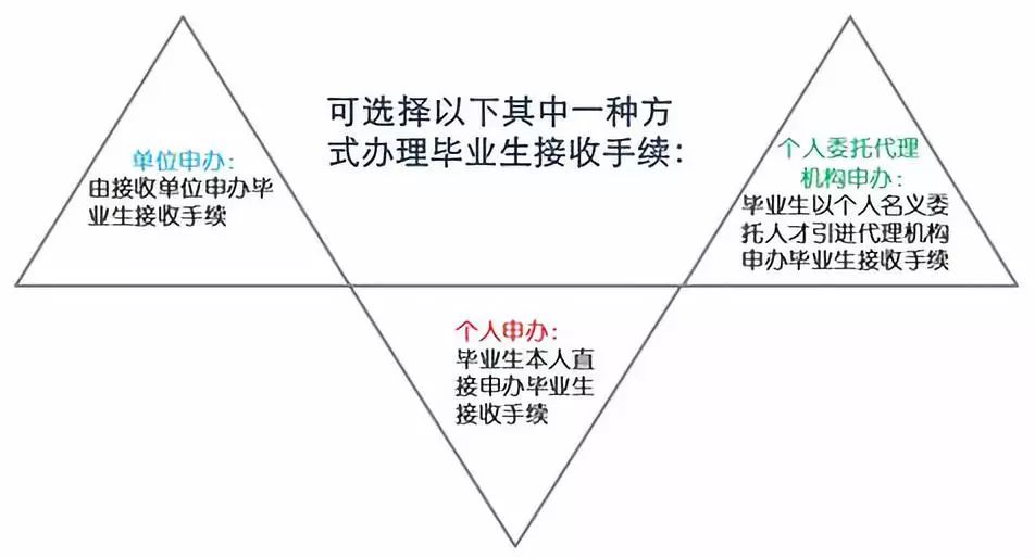 实际问题解决方案：L型插花艺术实践与技巧详解实训报告