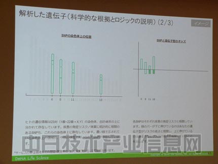 ??网AI论文检测服务系统：如何查看生成的AI检测报告详情