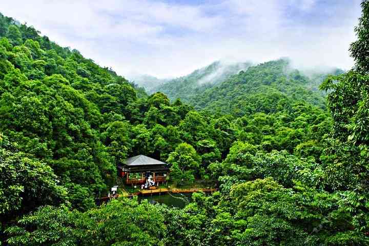 春旅游攻略与吸引力：探寻生态美景、文化底蕴及特色体验