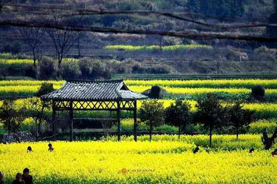 探秘春：揭秘魅力旅游景点，畅游自然风光与文化瑰宝