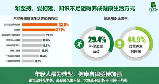 全面解读：智能AI机器人实验报告心得、技巧与实践经验分享