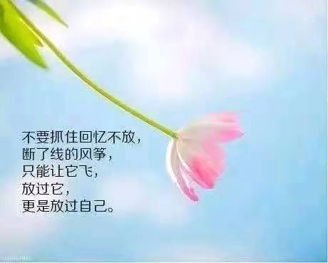 族唯美句子：精选族文案与经典句子汇编