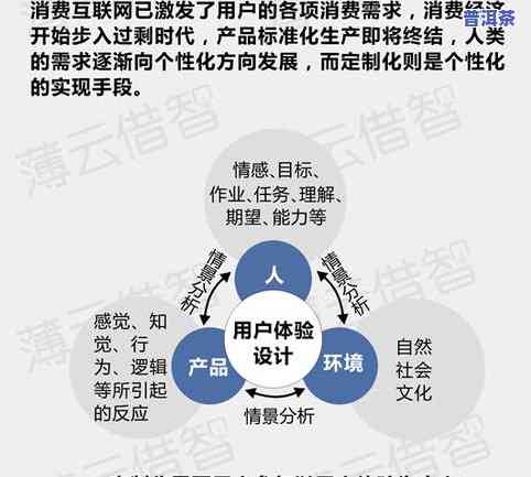 成长型企业的发展：历程、趋势、前景、突破与规划