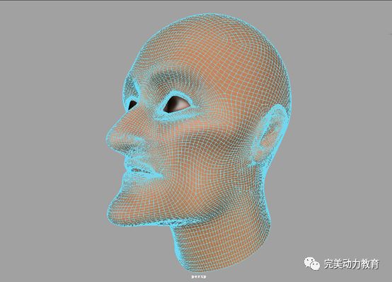 全功能角色变身特效：一键打造个性化形象与特效体验