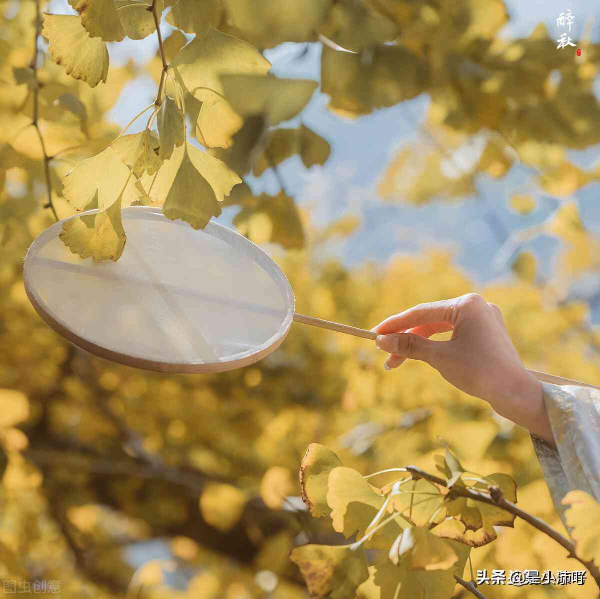 AI绘画技术应用：绘制翩翩起舞的红蝴蝶创意文案撰写