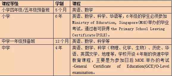 新加坡报告系统：VTS报告