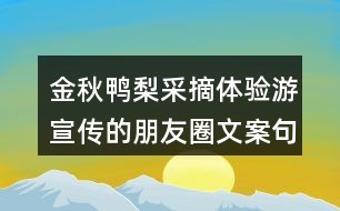 幼儿课堂文案：简短句子、朋友圈分享精选短句写法指南