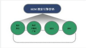 撰写全面深入的分析报告：涵关键要素与优化策略，解决用户多样化搜索需求