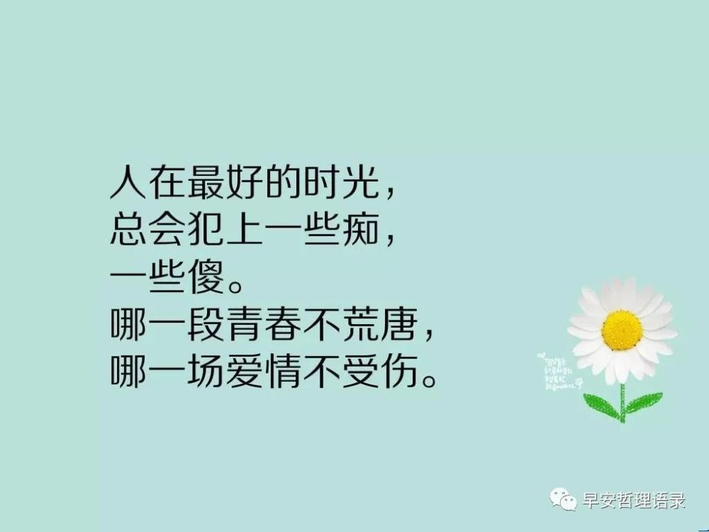 简洁治愈系房产文案：清新短句抚慰心灵