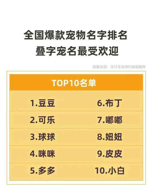 秘塔写作猫收费标准详解：价格、服务内容与性价比分析