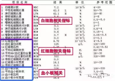 血液报告单解读：儿免费软件综合版