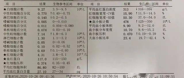 全面解析：如何详尽读懂血液检验报告单及其各项指标含义