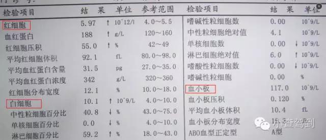 全面解析：如何详尽读懂血液检验报告单及其各项指标含义