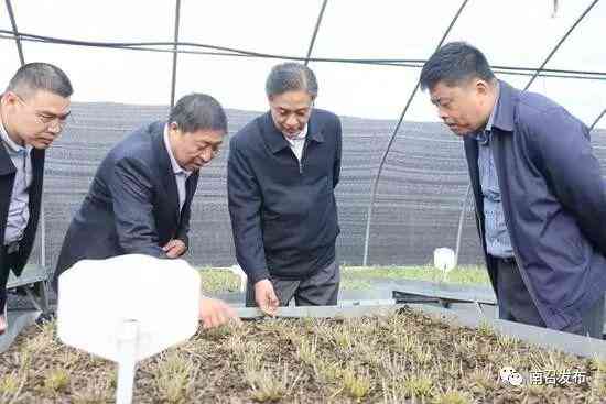 ai生成文献调研报告怎么写：撰写技巧与优化方法