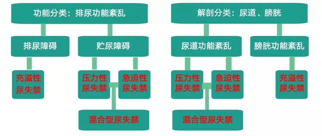 iciq问卷详解：全面解答关于国际尿失禁问卷的常见问题与使用指南