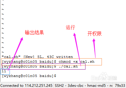 深入解析：AI脚本编程的技巧与实现方法