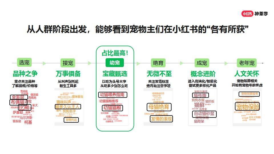 小红书内容创作ai营销方案