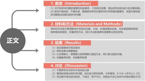 全面指南：论文写作12大步骤详解与实用技巧汇编