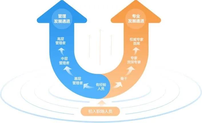 深入洞察：AI生成技术在案例分析报告中的应用与全面解决方案解析