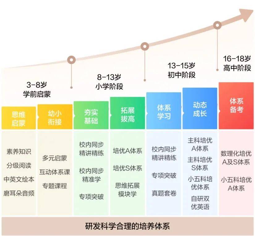 纳思在线教育科技：全面解析课程体系、教学优势与最新动态