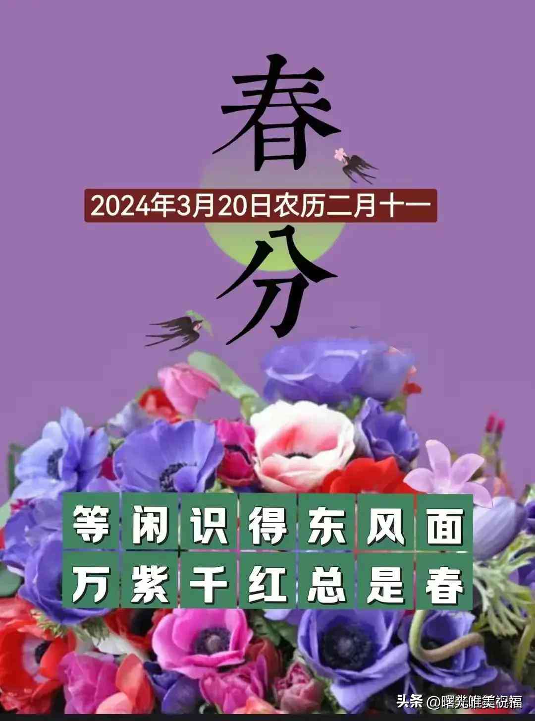 2024年最新盘点：国内热门中文AI智能文案工具一览及功能对比