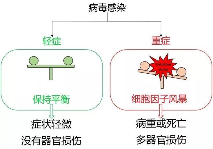 ai报告生成：在线免费生成病情诊断报告