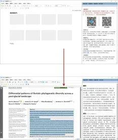 全面解析：文献综述必备软件与高效管理工具推荐指南