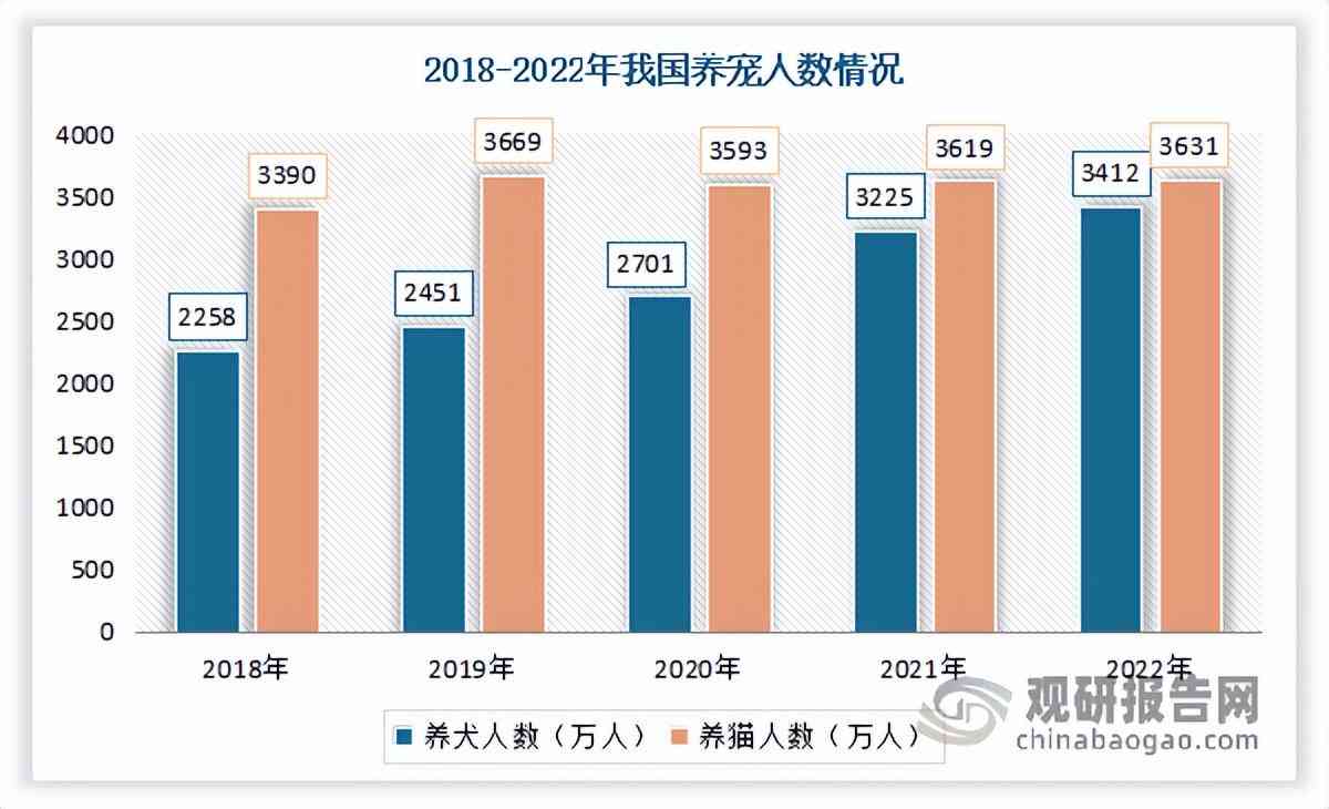 战略报告2018：全文及2022更新版