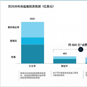 2021年全球战略布局与政策展望