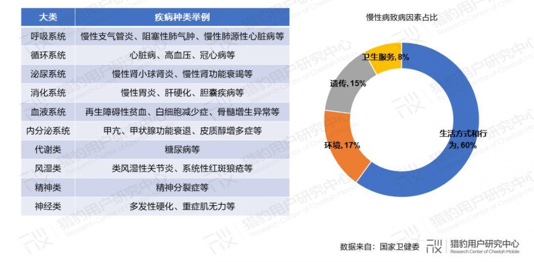 全面解析：山东省居民健档案AI应用现状与未来发展趋势调查报告