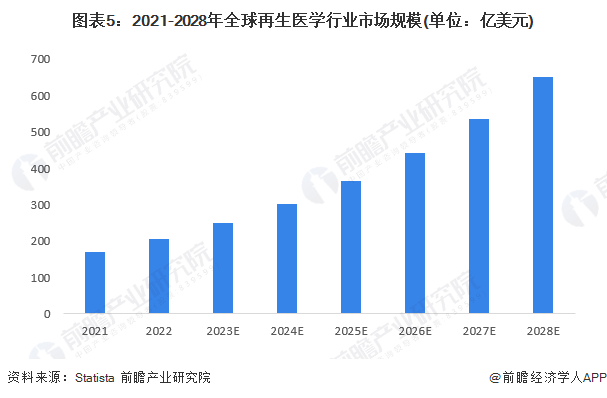 2023年手机市场综合分析：行业趋势、竞争与技术革新全景解读