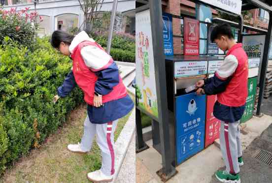 《城市垃圾分类导工作实情况与成效分析报告》