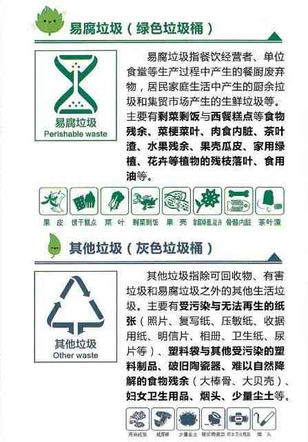 《城市垃圾分类导工作实情况与成效分析报告》