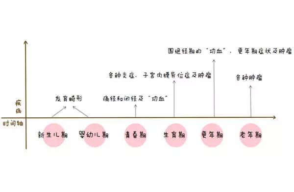 女性生命周期全方位解析：从青春到暮年的人生旅程指南