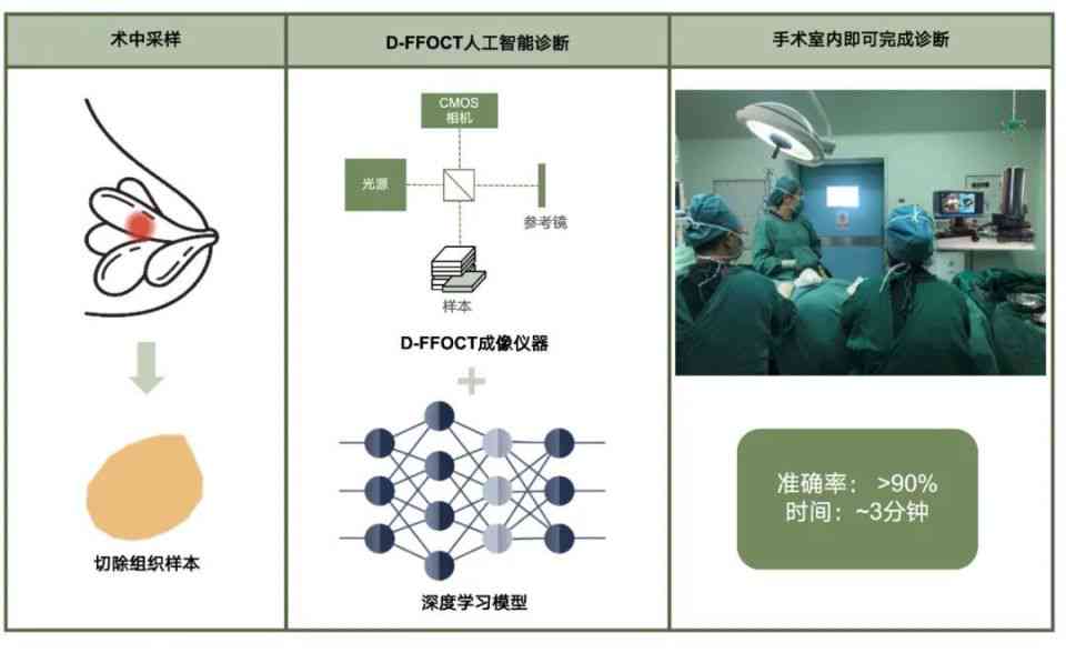 智能光学成像技术实现高效人工智能细胞识别与分析