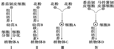 深入解析：细胞识别机制及其在生物学过程中的应用实例