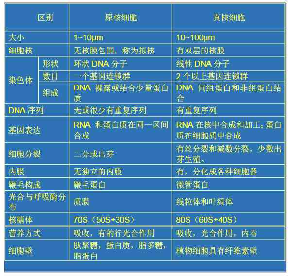 细胞识别：细胞识别名词解释及在细胞生物学中的应用与糖蛋白糖链的关系