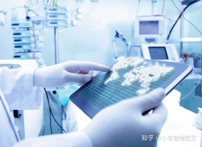 智能医疗AI：革新疾病诊断与治疗决策