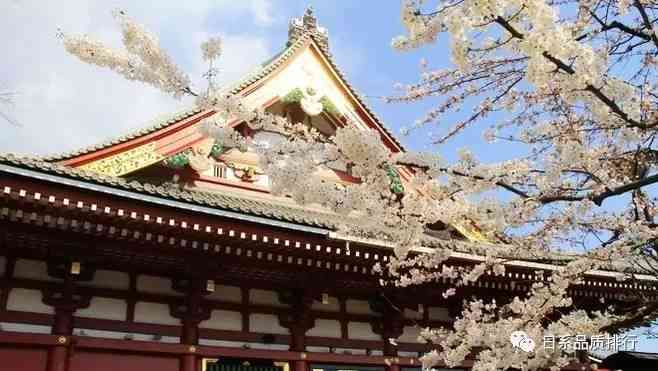 寺庙历文化与旅游指南：深度解读寺庙建筑、传说与修行奥秘