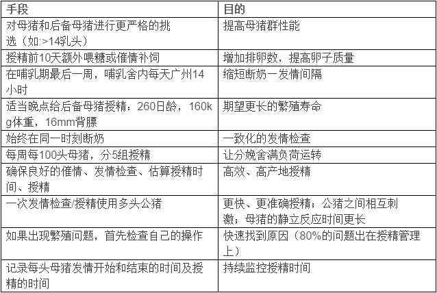 全面解析：现代养猪技术与管理策略大全