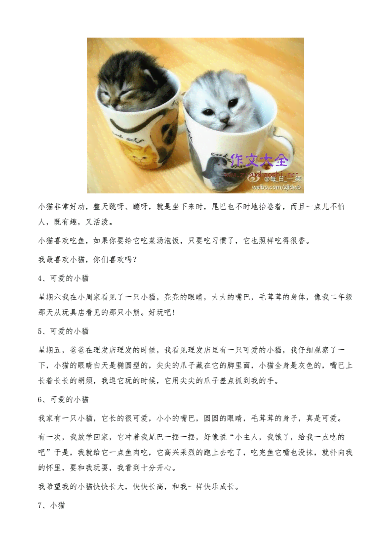 小猫作业100字作文攻略：从100字到400字的写作指南