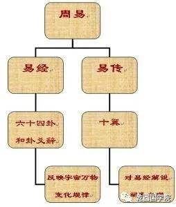 深入解析：脚本算卦的科学原理与实际应用探究